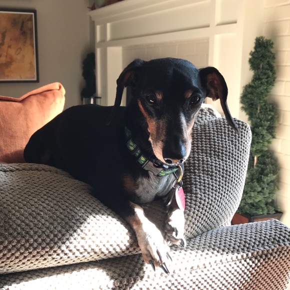 Meet your Posher, Melissa - Picture 1 of 1